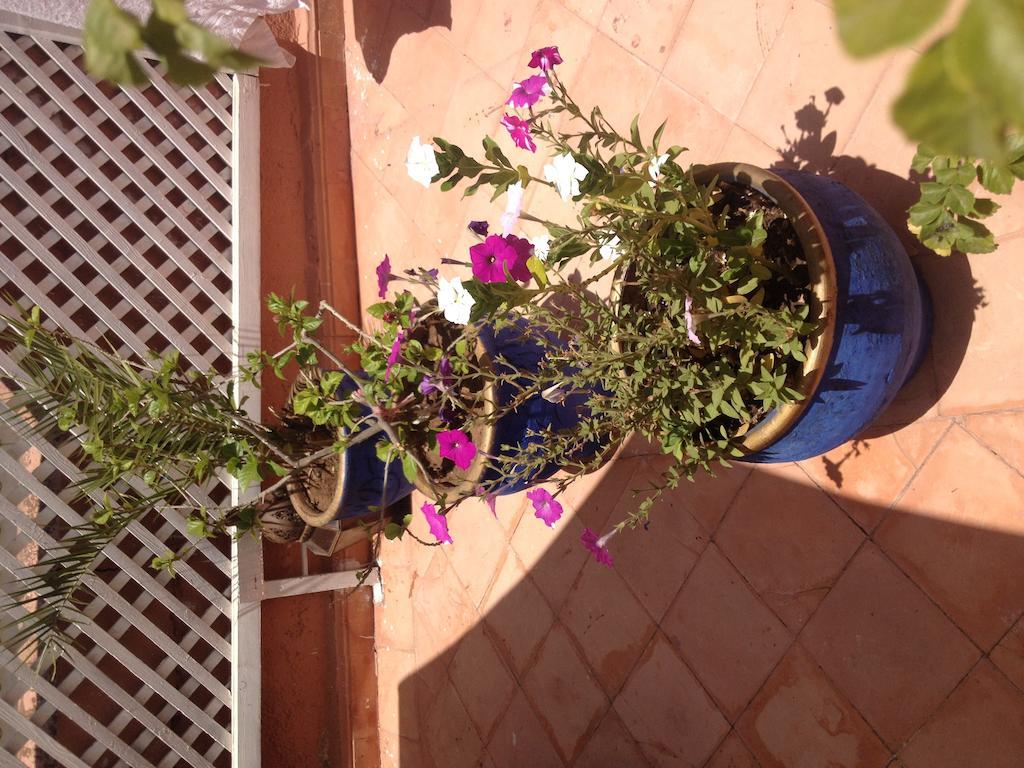 Riad Dar Saba Marrakesh Room photo
